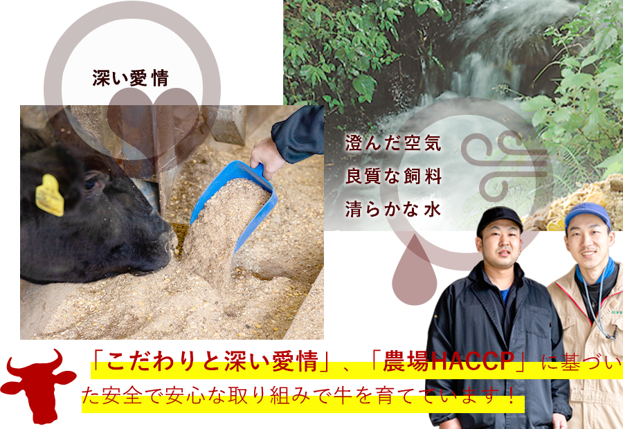 宮崎県高鍋地区の牛だけが「鷹山牛」のブランド牛になります！